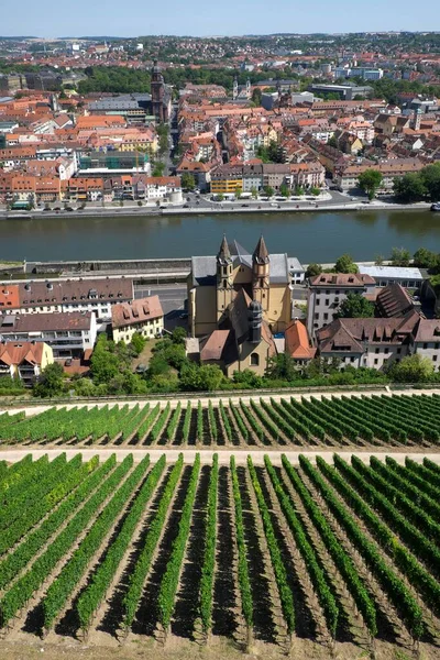 Viñedos Río Principal Vista Ciudad Wrzburg Baja Franconia Baviera Alemania —  Fotos de Stock