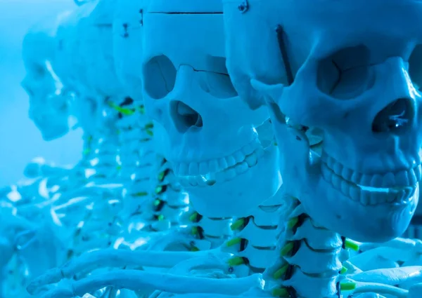 Skelette Und Schädel Einer Reihe Grinsend Tiefe Augenhöhlen — Stockfoto
