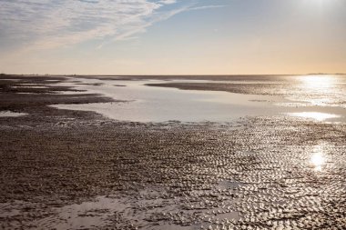 Evening mood in the Lower Saxon Wadden Sea National Park at low tide, Lower Saxony, Germany, Europe clipart