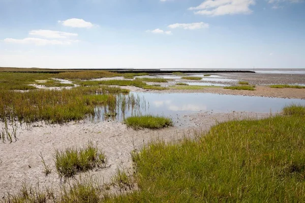 Maré Baixa Lower Saxon Wadden Sea National Park Mar Norte — Fotografia de Stock