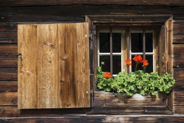 Geraniums Fereastra Unei Ferme Eng Eng Alm Karwendel Tirol Austria — Fotografie, imagine de stoc