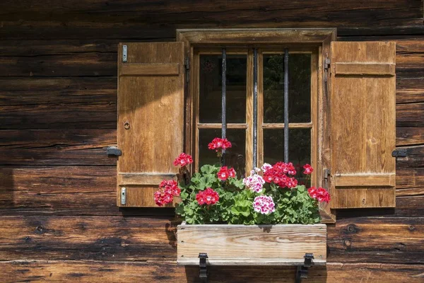 Geraniums Aan Het Raam Van Een Boerderij Eng Eng Alm — Stockfoto