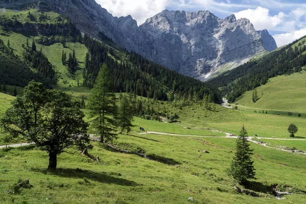 Almdorf Eng Eng Alm Lalider Wall山の後ろ Karwendel Tyrol Austria Europe — ストック写真