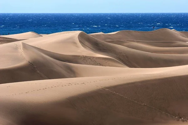 Duinen Maspalomas Natuurgebied Gran Canaria Canarische Eilanden Spanje Europa — Stockfoto