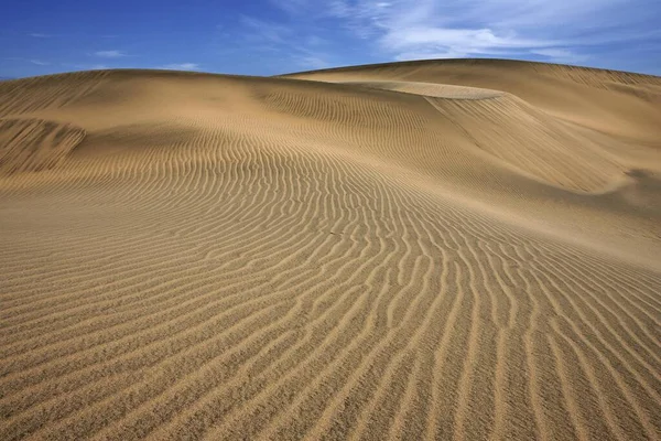 Duny Písečné Duny Maspalomas Stavby Písku Přírodní Rezervace Gran Canaria — Stock fotografie