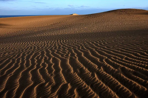 Sanddyner Sanddyner Maspalomas Strukturer Sanden Naturreservat Kvällsljus Gran Canaria Kanarieöarna — Stockfoto