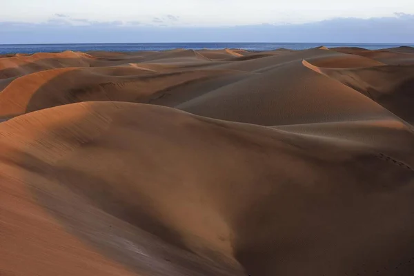 Duinen Maspalomas Structuren Het Zand Natuurreservaat Avondlicht Gran Canaria Canarische — Stockfoto