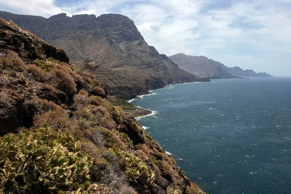 Klippor Brant Kust Nordväst Gran Canaria Kanarieöarna Spanien Europa — Stockfoto