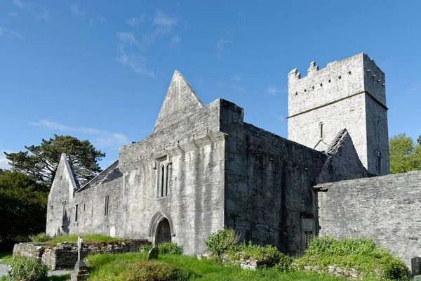 Muckross Abbey Cloghereen Cill Airne Munster Irland Europa — Stockfoto