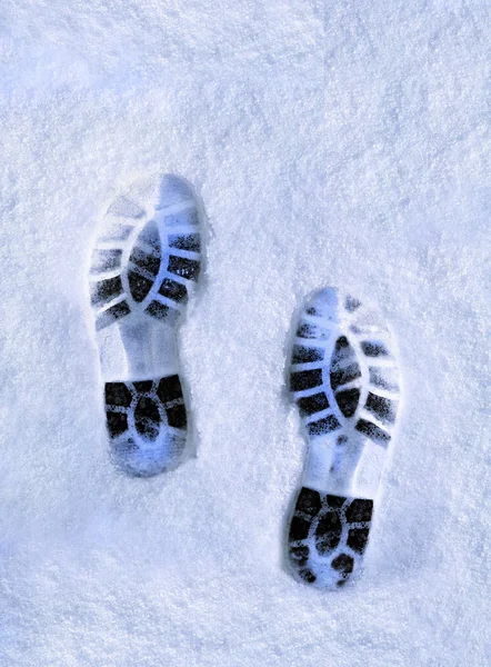 Skoavtryck Snö Stövlar — Stockfoto