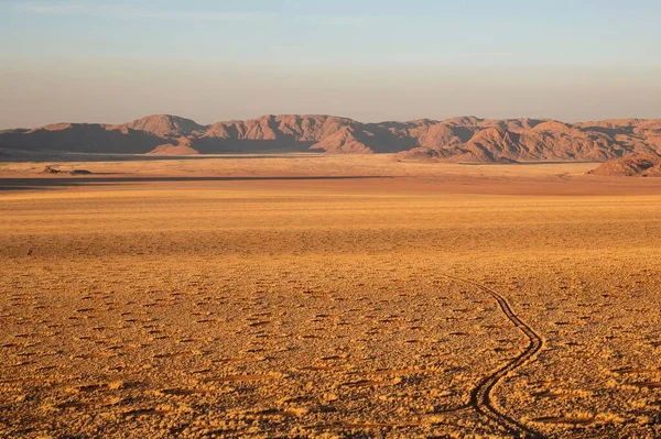 Plaine Désertique Couverte Herbe Bord Désert Namib Cercles Fées Parcelles — Photo