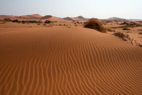 Sanddyner Namiböknen Namib Naukluft Nationalpark Sossusvlei Namibia Afrika — Stockfoto