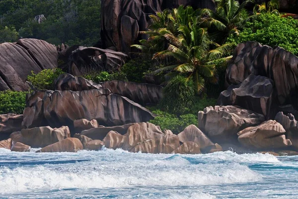 Morze Granitowymi Skałami Palmami Grand Anse Digue Island Seszele Afryka — Zdjęcie stockowe