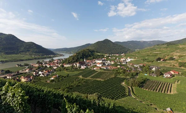 俯瞰葡萄园至Spitz Der Donau Tausendeimerberg Wachau Waldviertel Lower Austria Austria Europe — 图库照片