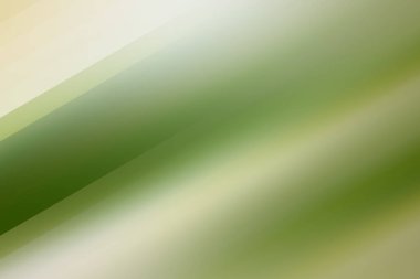 Soyut pastel yumuşak renkli düz yeşil renkte tonda odak kapalı dokulu arka plan bulanık. Duvar kağıdı olarak veya web tasarımı için kullanılabilir