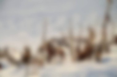 Soyut pastel yumuşak renkli yumuşak dokulu arka plan bulanık odak kapalı altın, sarı, kahverengi ve bej sıcak renk tonlu