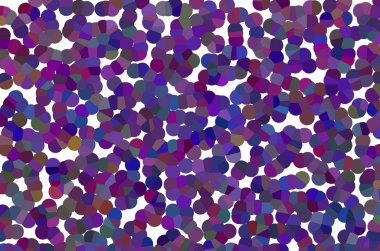 soyut pastel yumuşak renkli bulanık desenli arka plan menekşe ve leylak renginde odak tonundan