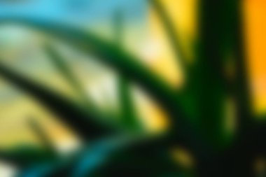 Soyut Yeşil sarı beyaz renkli doku odak arka plan bulanık. Duvar kağıdı olarak veya webdesign için kullanılabilir.