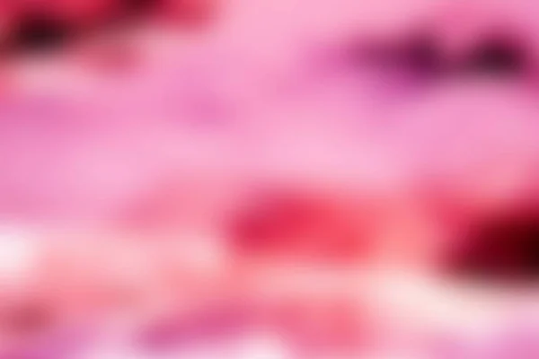 Absztrakt Színes Rózsaszín Bíbor Fehér Elmosódott Textúra Háttér Kapcsolva Középpontjában — Stock Fotó