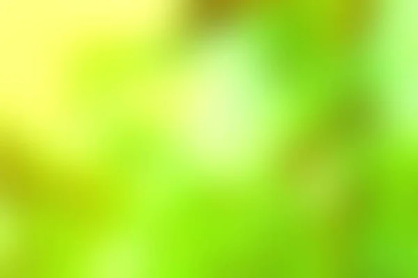 Абстрактний Зелений Жовтий Білий Барвистий Розмитий Текстурний Фон Фокусом Може — стокове фото