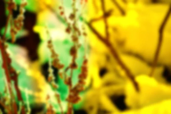 Abstract green brown amber yellow colorful blurred texture background off focus. Can be used as a wallpaper or for webdesign.