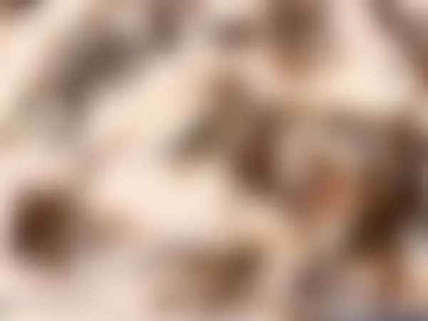 Αφηρημένη Παστέλ Μαλακό Πολύχρωμο Ομαλής Θολή Φόντο Υφή Εκτός Εστίασης — Φωτογραφία Αρχείου