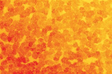 Soyut pastel yumuşak renkli yumuşak dokulu arka plan bulanık odak kapalı turuncu ve sarı renk tonlu