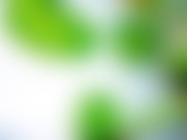 Soyut pastel yumuşak renkli düz yeşil renk tonlu odak kapalı dokulu arka plan bulanık