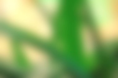 Soyut Yeşil sarı renkli doku odak arka plan bulanık. Duvar kağıdı olarak veya webdesign için kullanılabilir.