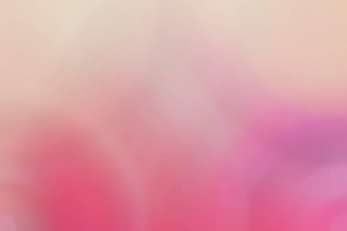 Soyut pastel yumuşak renkli yumuşak odak pembe renkte tonda kapalı dokulu arka plan bulanık. Duvar kağıdı olarak veya web tasarımı için uygun