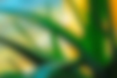 Soyut Yeşil sarı beyaz renkli doku odak arka plan bulanık. Duvar kağıdı olarak veya webdesign için kullanılabilir.