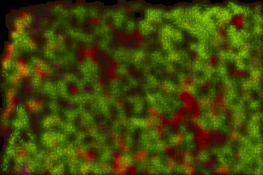 Soyut pastel yumuşak renkli düz yeşil renk tonlu odak kapalı dokulu arka plan bulanık