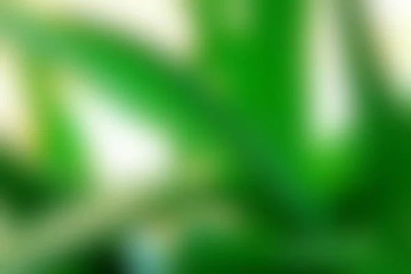 Αφηρημένο Πράσινο Λευκό Πολύχρωμο Θολή Υφή Φόντο Εκτός Εστίασης Μπορεί — Φωτογραφία Αρχείου