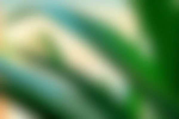 Абстрактно Зеленый Белый Цвет Размытый Фактурный Фон Вне Фокуса Использоваться — стоковое фото