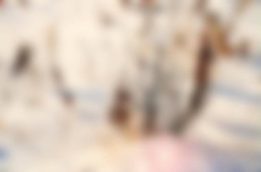 Soyut pastel yumuşak renkli yumuşak dokulu arka plan bulanık odak kapalı altın, sarı, kahverengi ve bej sıcak renk tonlu. Duvar kağıdı olarak veya web tasarımı için kullanılabilir