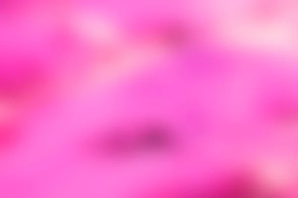 抽象的なカラフルなピンク マゼンタ ホワイトには フォーカスをテクスチャ背景がぼやけています ウェブ デザイン 壁紙として使えます — ストック写真