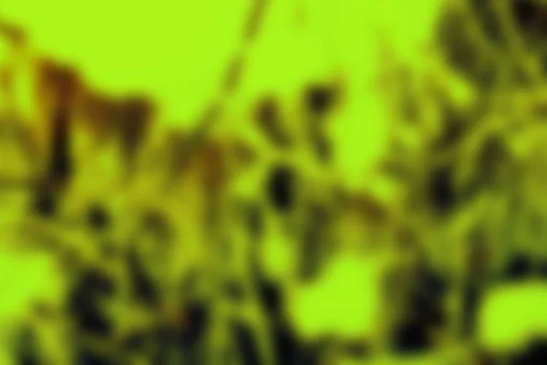 Soyut Yeşil Kahverengi Sarı Sarı Renkli Doku Odak Arka Plan — Stok fotoğraf