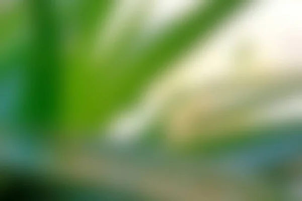 Абстрактно Зеленый Желто Белый Расплывчатый Фактурный Фон Вне Фокуса Использоваться — стоковое фото