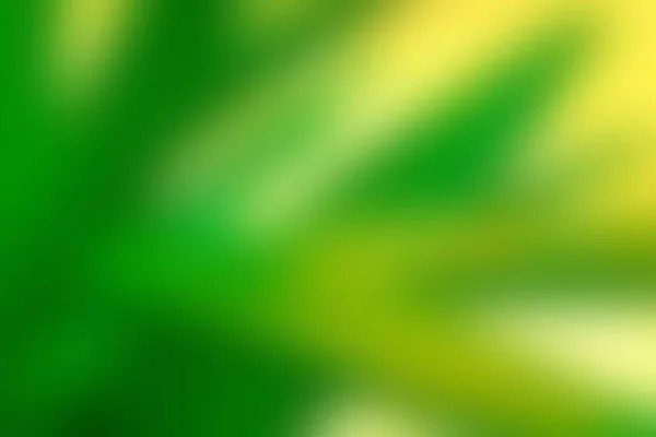 Abstrakte Grün Gelb Bunte Unscharfe Textur Hintergrund Aus Dem Fokus — Stockfoto