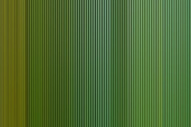 Soyut pastel yumuşak renkli düz yeşil renkte tonda odak kapalı dokulu arka plan bulanık. Duvar kağıdı olarak veya web tasarımı için kullanılabilir