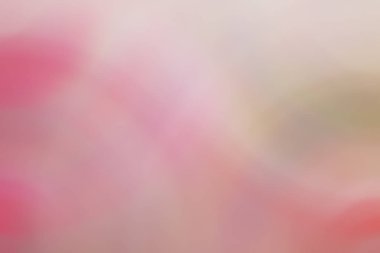 Soyut pastel yumuşak renkli yumuşak odak pembe renkte tonda kapalı dokulu arka plan bulanık. Duvar kağıdı olarak veya web tasarımı için uygun