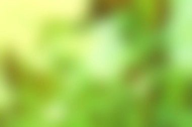 Soyut Yeşil sarı beyaz renkli doku odak arka plan bulanık. Duvar kağıdı olarak veya webdesign için kullanılabilir.