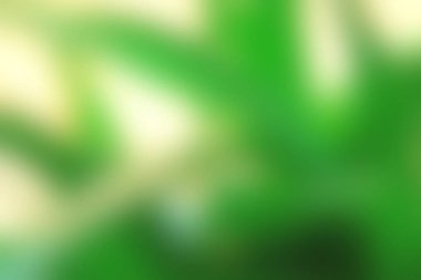 Soyut Yeşil beyaz renkli doku odak arka plan bulanık. Duvar kağıdı olarak veya webdesign için kullanılabilir.