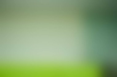 Soyut pastel yumuşak renkli düz yeşil ve beyaz renk tonlu odak kapalı dokulu arka plan bulanık. Duvar kağıdı olarak veya web tasarımı için kullanılabilir.