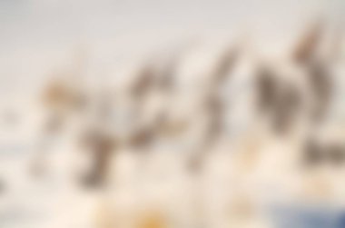 Soyut pastel yumuşak renkli yumuşak dokulu arka plan bulanık odak kapalı altın, sarı, kahverengi ve bej sıcak renk tonlu