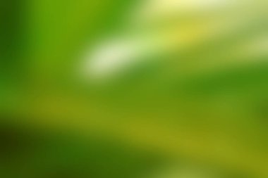 Soyut Yeşil sarı beyaz renkli doku odak arka plan bulanık. Duvar kağıdı olarak veya webdesign için kullanılabilir.