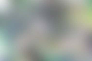 Soyut pastel yumuşak renkli düz mavi renkte tonda odak kapalı dokulu arka plan bulanık