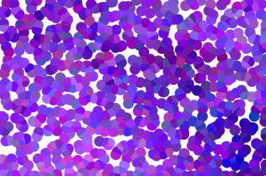 soyut pastel yumuşak renkli bulanık desenli arka plan menekşe ve leylak renginde odak tonundan