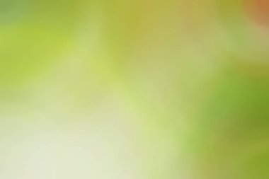 Soyut pastel yumuşak renkli düz sarı renkte tonda odak kapalı dokulu arka plan bulanık. Duvar kağıdı olarak veya web tasarımı için kullanılabilir