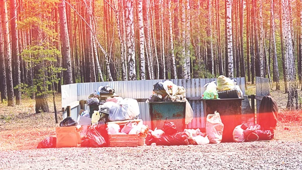 Litter box full of garbage in forest. Concept of ecology problem. Toned